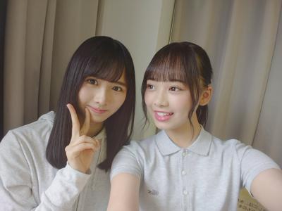 ひよたんさん！ - 画像4