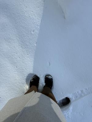 北海道はデカかった - 画像12