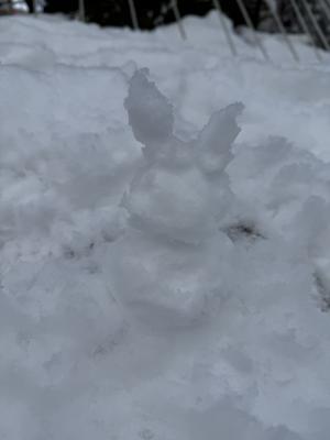 北海道はデカかった - 画像7