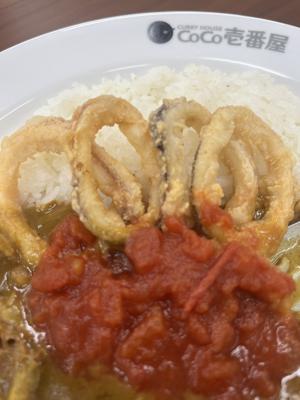 CoCo壱番屋へれっつごー！私の推しカレーはですね〜 - 画像3