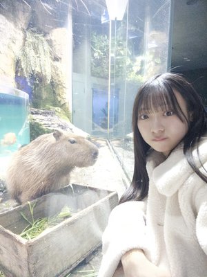 冬が終わる前に - 画像10