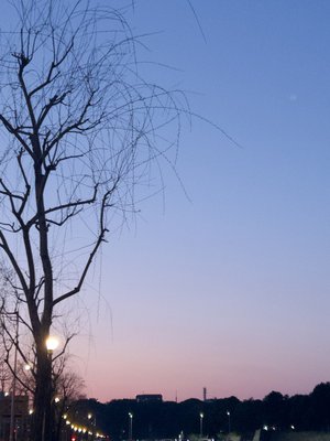 もっとずっと眩しいもの - 画像3