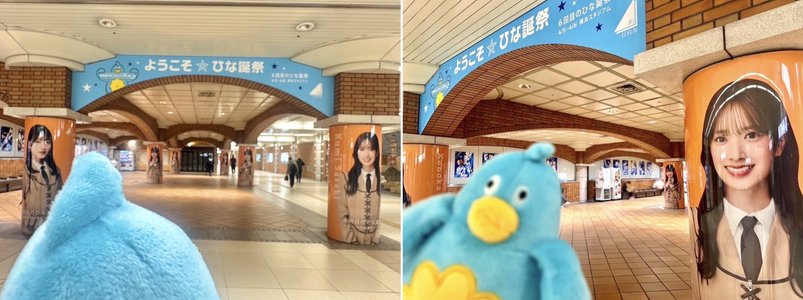 ポカさんぽ in横浜 - 画像2