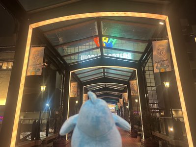 ポカさんぽ in横浜 - 画像9