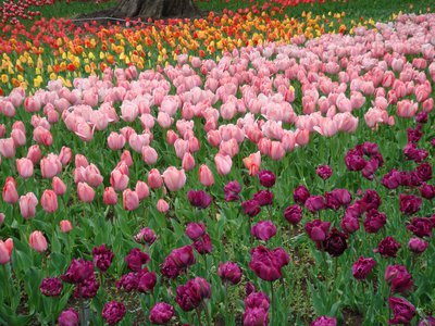 横浜散歩、そしてSHOWROOMやります！#へんてこスイッチ - 画像2