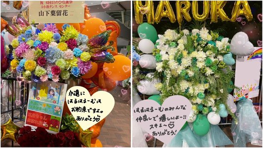 はるはる日記🌱 - ミーグリ応募開始！ - - 画像5