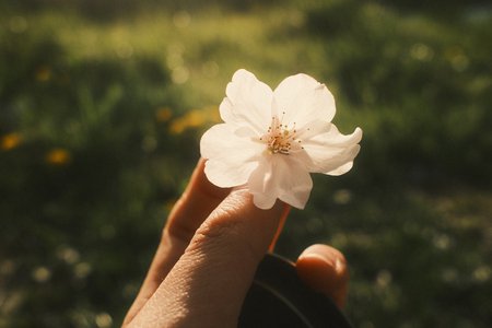 好きが止まらない正源司　陽子 - 画像11