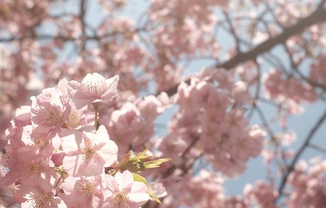 好きが止まらない正源司　陽子 - 画像9