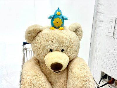 ふじしまじっく - 画像7