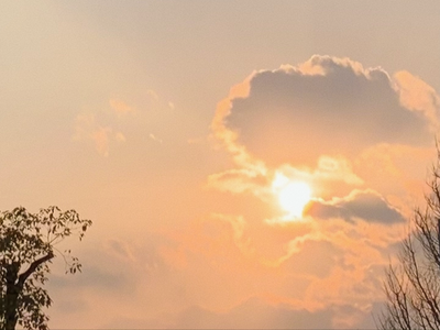 花言葉💐 - 画像9