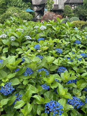 大切なお知らせとミニ旅ブログ - 画像5