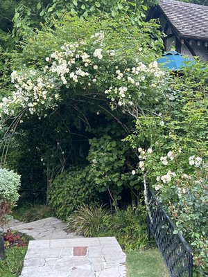 大切なお知らせとミニ旅ブログ - 画像6