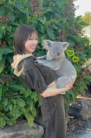 もしゃもしゃユーカリ🌿