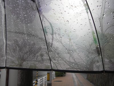 雨は やがて あがっていた - 画像17