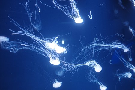 手を繋いだらバルスって言いたくなる正源司　陽子 - 画像6