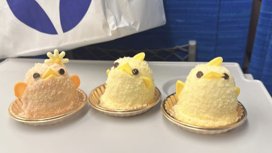 ( ¨̮ )>≡秘密はありますか - 画像5