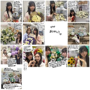 白いひまわり🌻  坂井新奈 - 画像3
