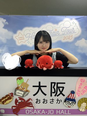 たこさんに会えるかなのサムネイル