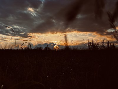 別れ際のハイタッチからは鈍い音がする正源司　陽子 - 画像8