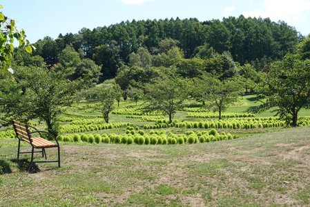 もっと自由で構わないよ！ - 画像11