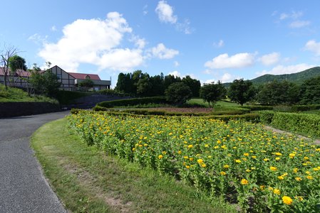 もっと自由で構わないよ！ - 画像10