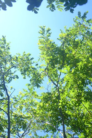 I have a story to tell. Yoko Shogenji すみませんふざけました。正源司　陽子 - 画像3