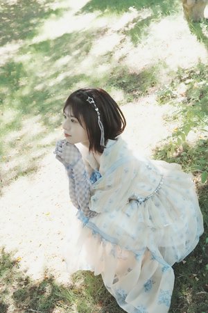 大体把握できるブログ - 画像2