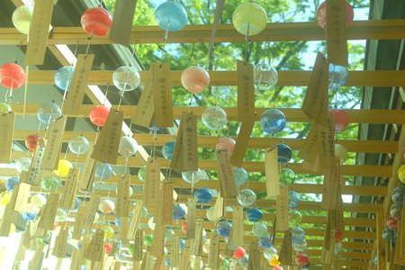 孤独とは言い換へりやあ自由。正源司　陽子 - 画像3