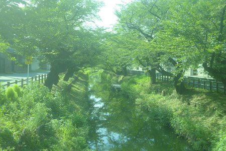 孤独とは言い換へりやあ自由。正源司　陽子 - 画像4