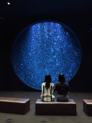 いらっしゃいませ！ご注文はおすしですか？ - 画像12