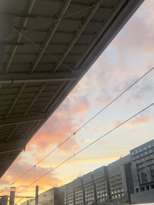 早起きは三本の得 - 画像5