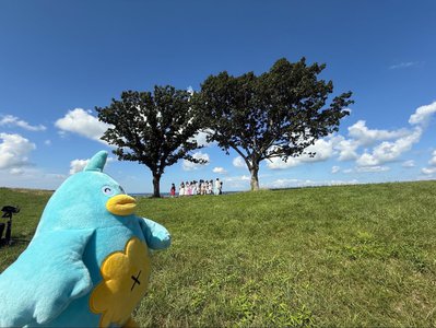 あなたのねがいかなえます - 画像8