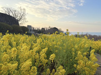 気持ちは無限大。#にこにこぶろぐ - 画像5
