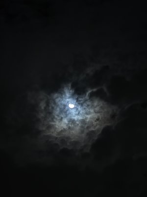 アイスクリームつくりたい - 画像6