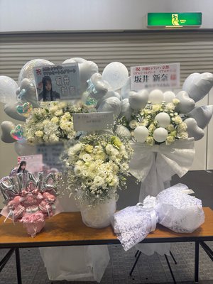 新参者頑張ります - 画像2