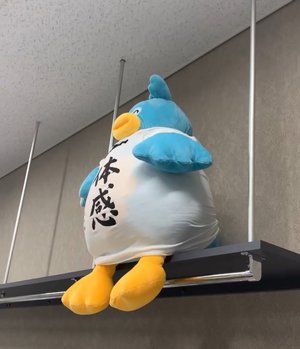 明日も明後日もその次も応援してるのサムネイル