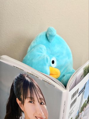 かわたのしゃしんしゅうみてみた - 画像3