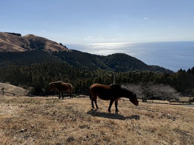 何度でもその一瞬に戻ってくる。のサムネイル
