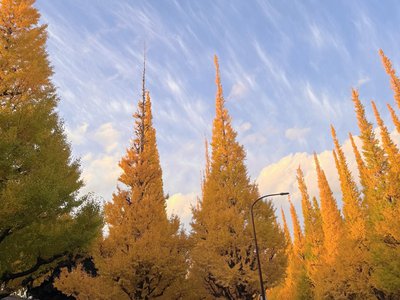 秋の静けさに物思いに更け - 画像2