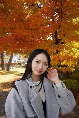 秋を歩く - 画像2