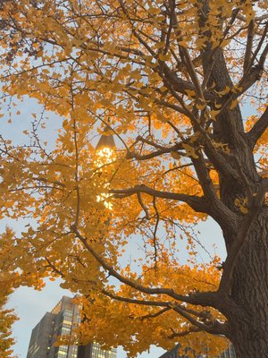 夜明けも怖くないね - 画像3