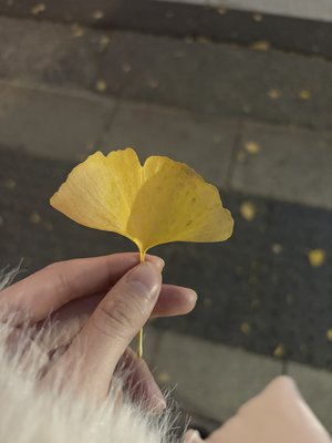 夜明けも怖くないね - 画像4