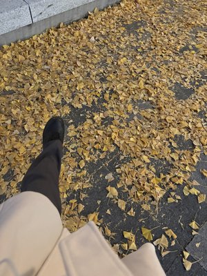 夜明けも怖くないね - 画像5