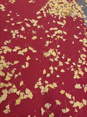 夜明けも怖くないね - 画像6