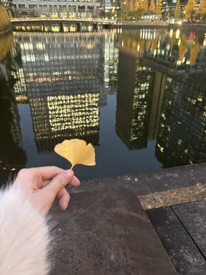 夜明けも怖くないね - 画像7