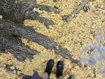 私の目に映る12月の秋 - 画像6