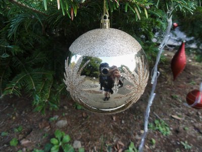 私の目に映る12月の秋 - 画像7