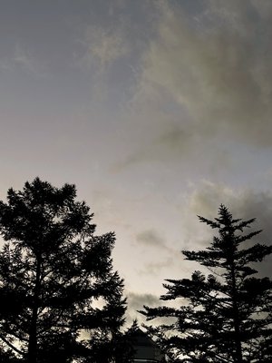 誰かの役に立てたら - 画像7