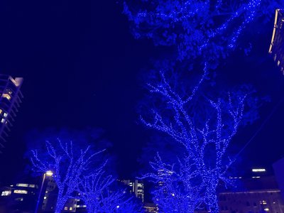 キラキラマシマシイルミネーション - 画像2