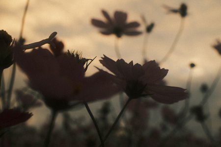 人類にはまだ早すぎるブログ。正源司　陽子 - 画像4